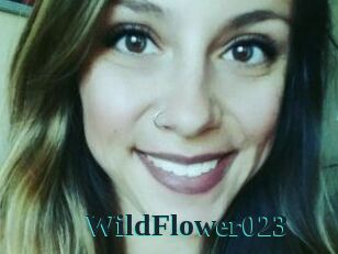 WildFlower023