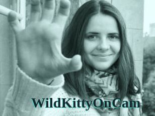 WildKittyOnCam