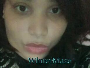 Winter_Maze