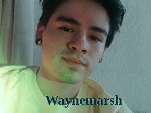 Waynemarsh