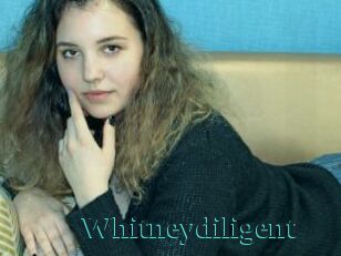 Whitneydiligent