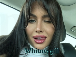 Whitneygill