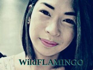 WildFLAMINGO
