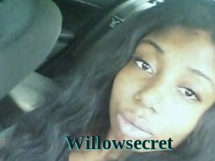 Willow_secret