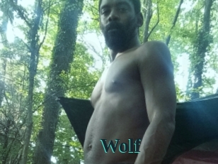 wolf Melody Melons