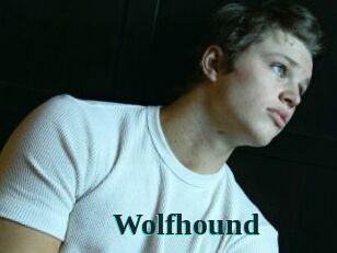 Wolfhound