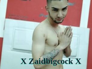 X_Zaidbigcock_X