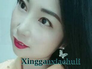 Xingganxiaohuli