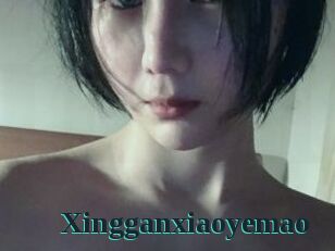 Xingganxiaoyemao