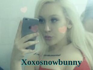 Xoxosnowbunny