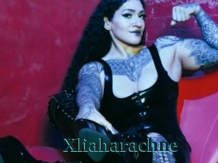 Xliaharachne