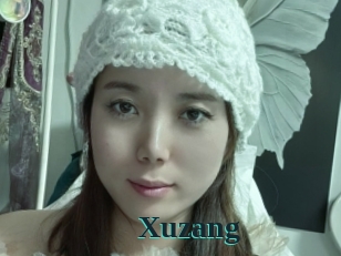 xuzang Melody Melons
