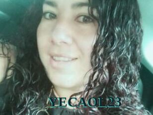 YECAOL23