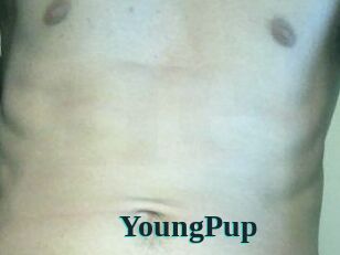 YoungPup