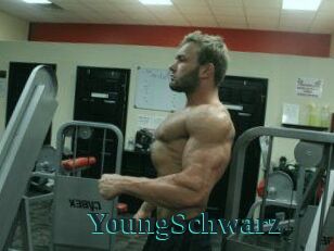 YoungSchwarz