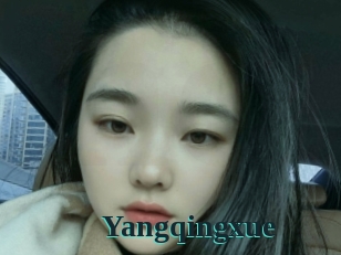 Yangqingxue
