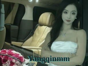 Yangqinmm