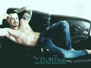 ZECElei