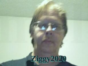 Ziggy2020
