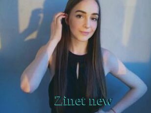 Zinet_new