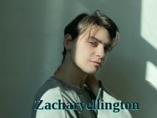 zacharyellington Melody Melons