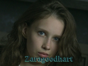 Zaragoodhart