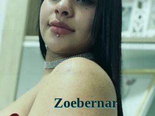 Zoebernar
